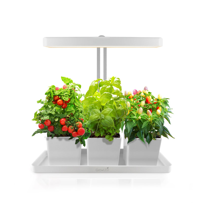 GrowLED Grow Light Herbs & Reviews Wayfair
